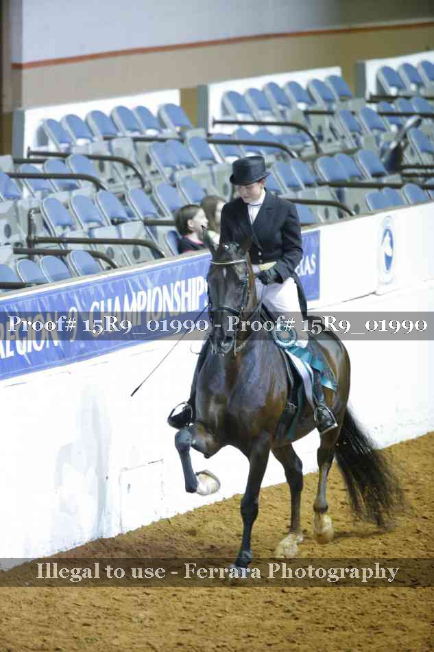 Proof 15R9_01990