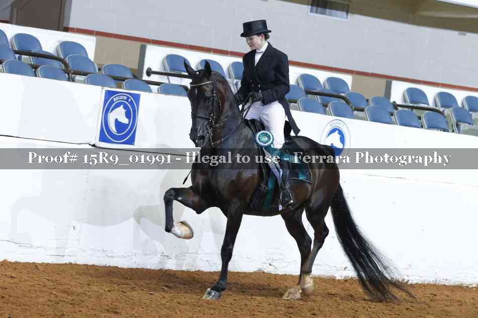 Proof 15R9_01991