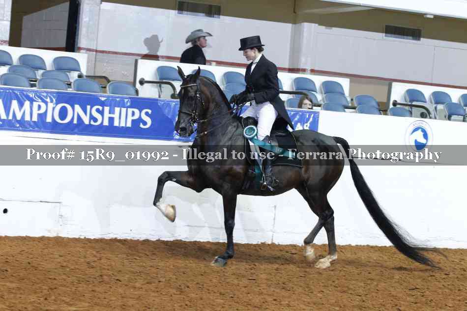 Proof 15R9_01992