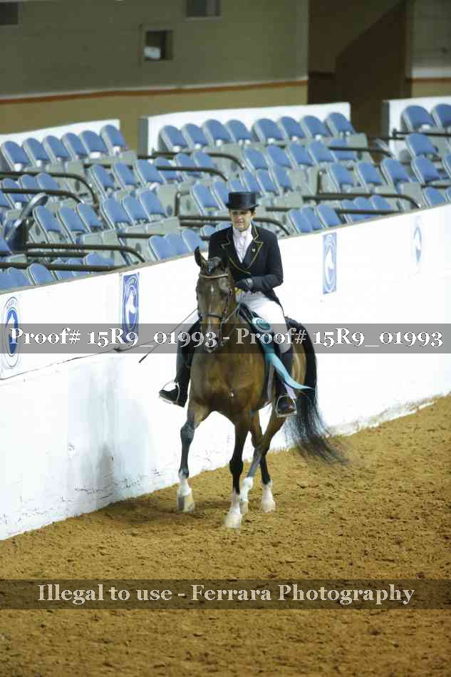 Proof 15R9_01993
