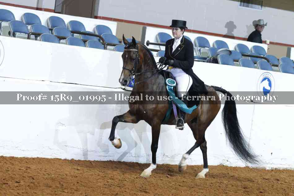 Proof 15R9_01995