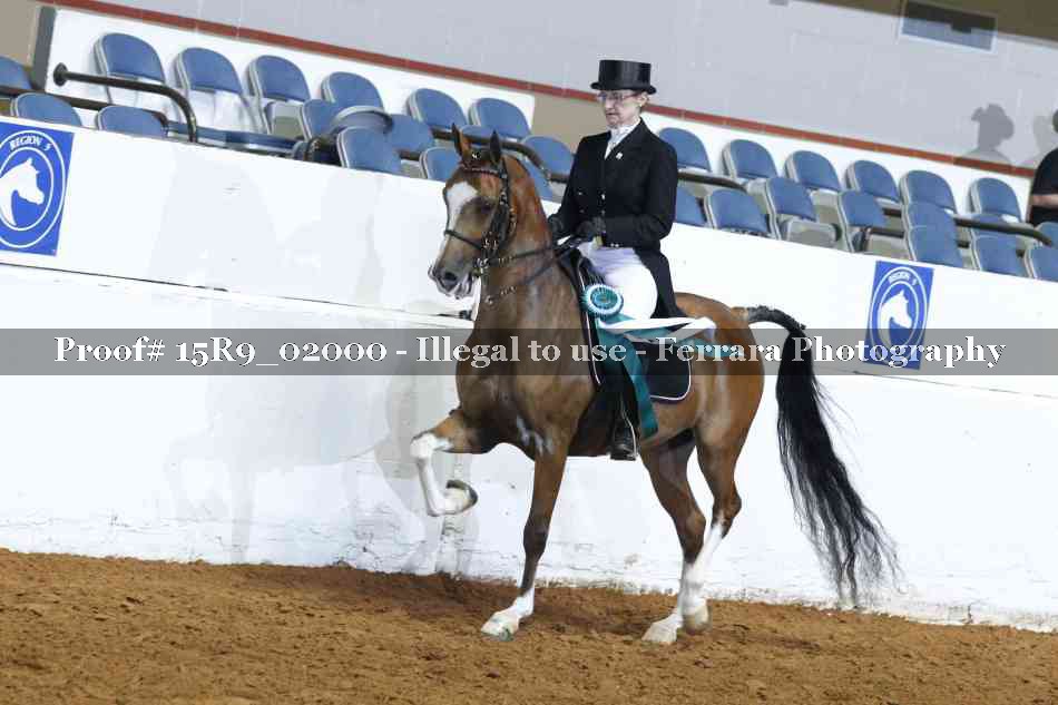 Proof 15R9_02000
