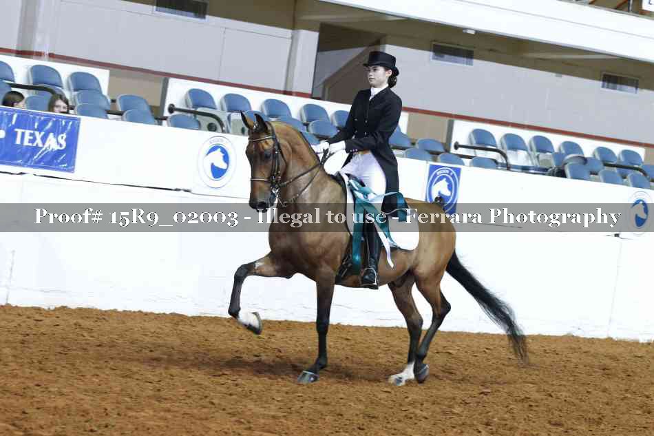Proof 15R9_02003