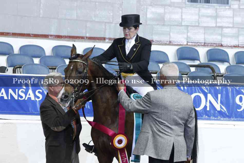 Proof 15R9_02009