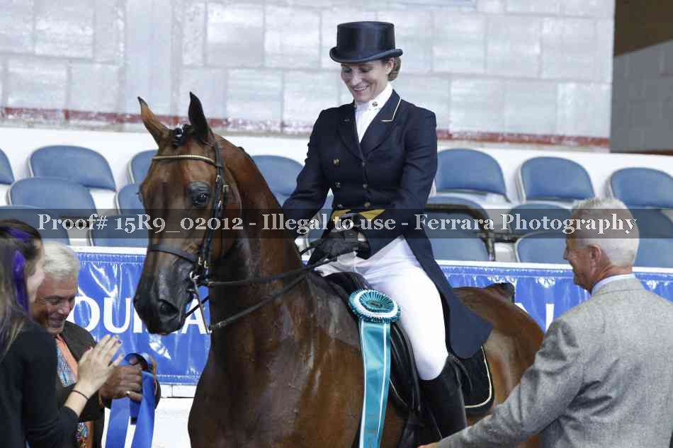 Proof 15R9_02012