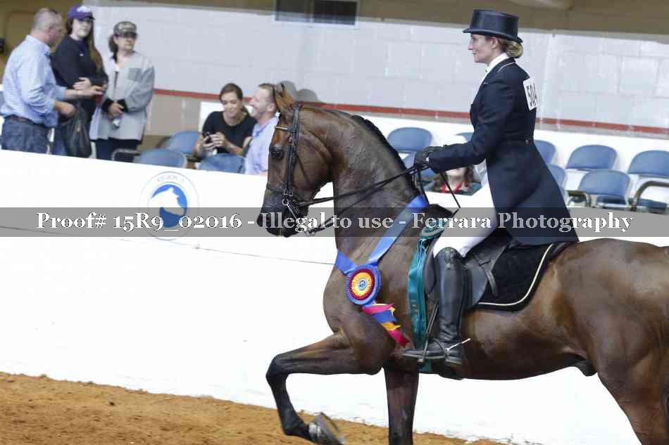 Proof 15R9_02016