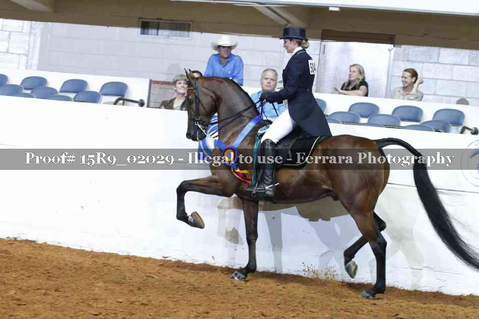 Proof 15R9_02029