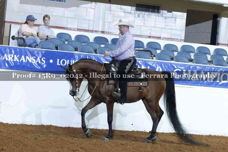 Proof 15R9_02042