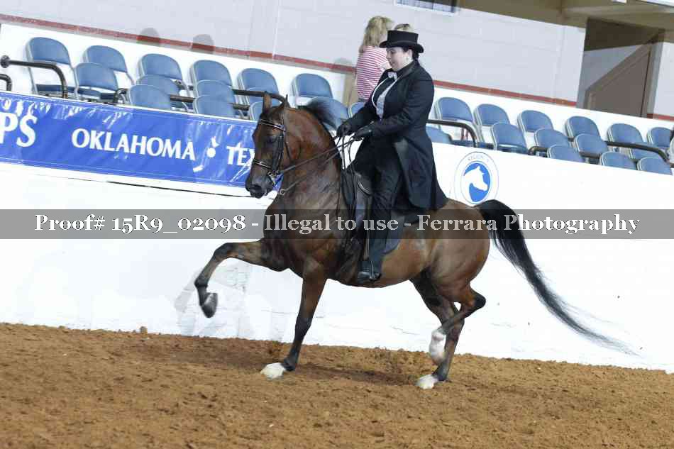 Proof 15R9_02098