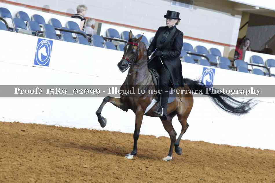 Proof 15R9_02099