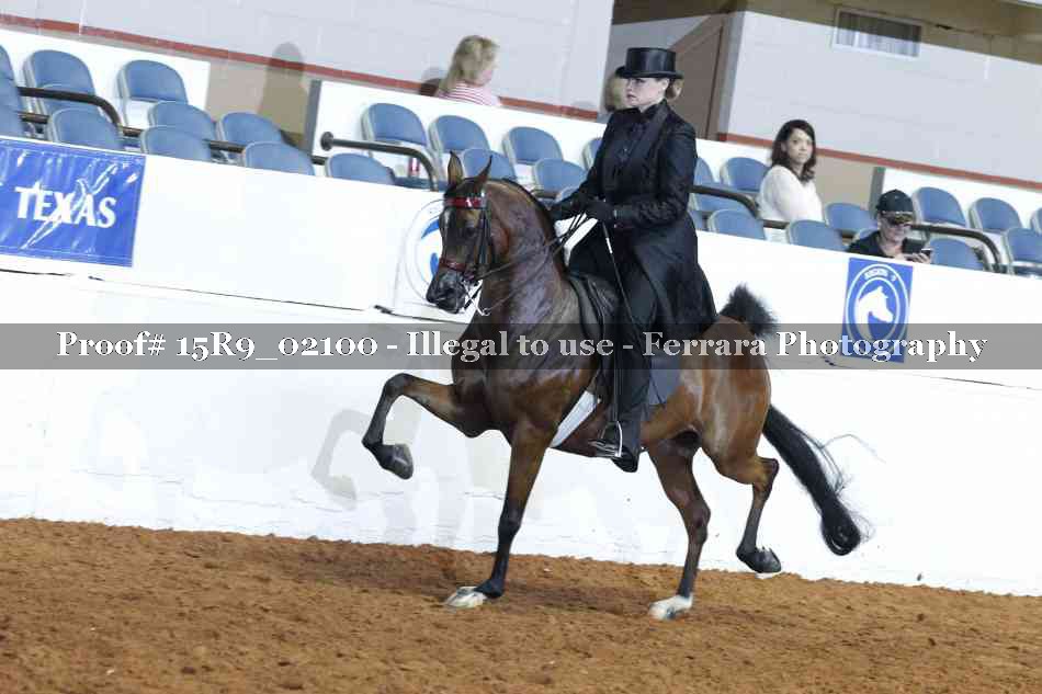 Proof 15R9_02100