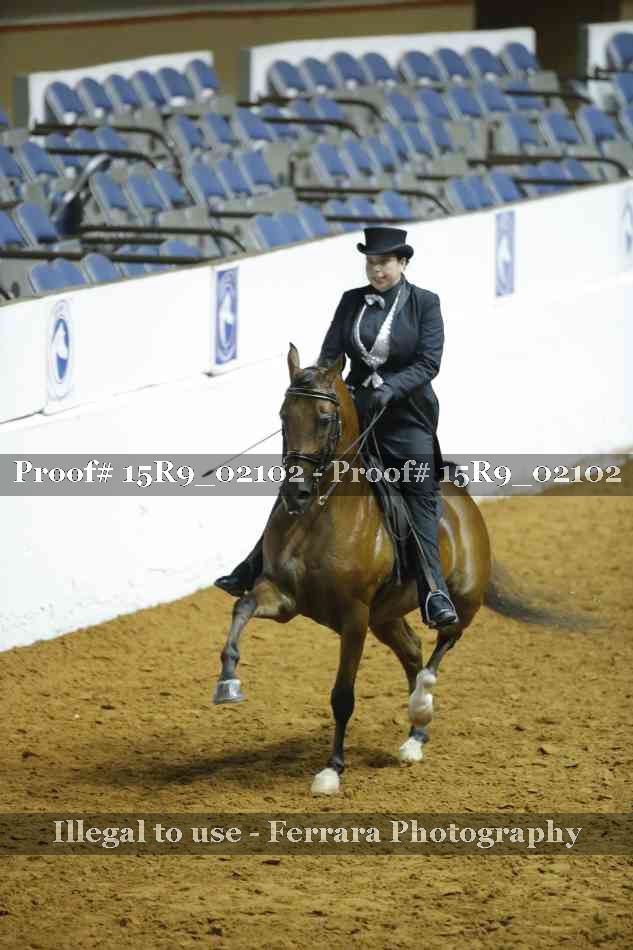 Proof 15R9_02102