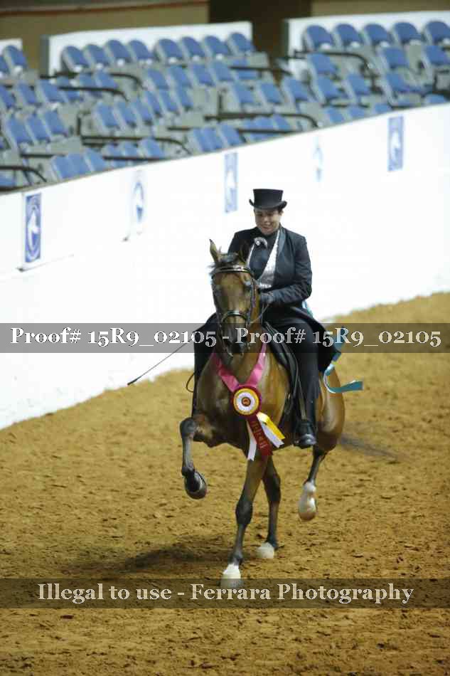 Proof 15R9_02105