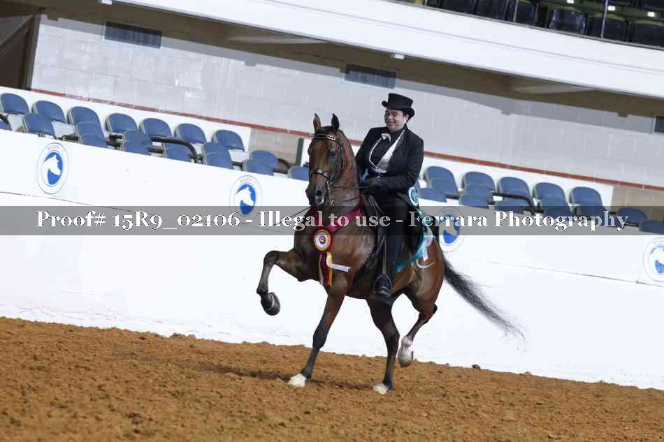 Proof 15R9_02106