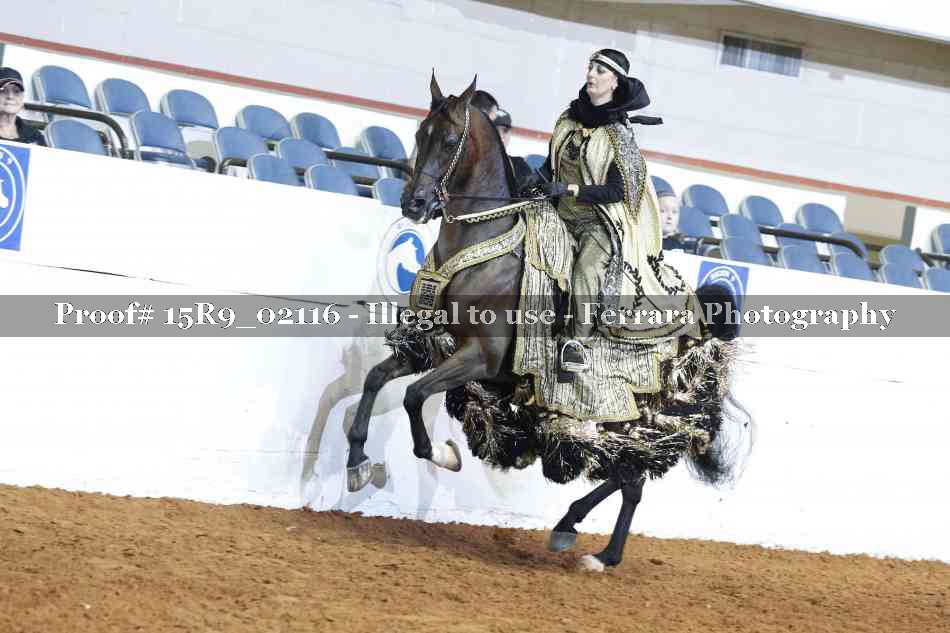 Proof 15R9_02116