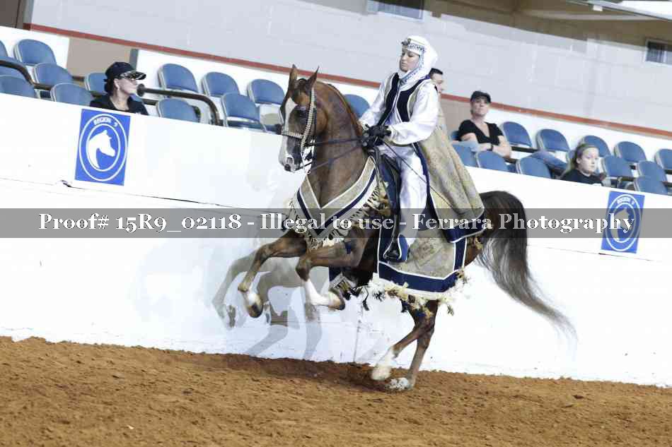 Proof 15R9_02118