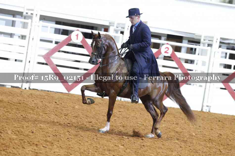 Proof 15R9_02151