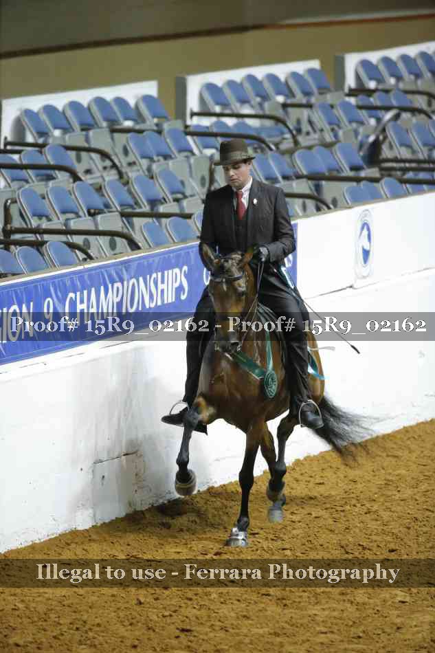 Proof 15R9_02162