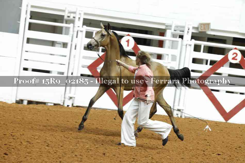 Proof 15R9_02185