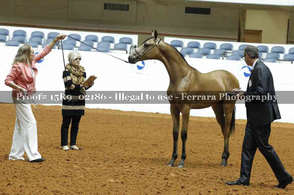 Proof 15R9_02186