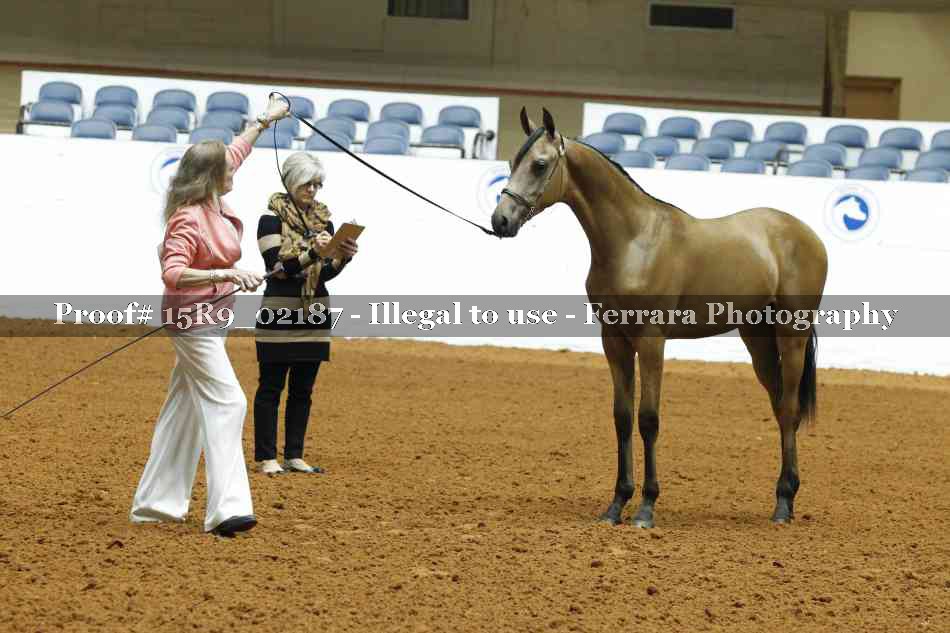 Proof 15R9_02187