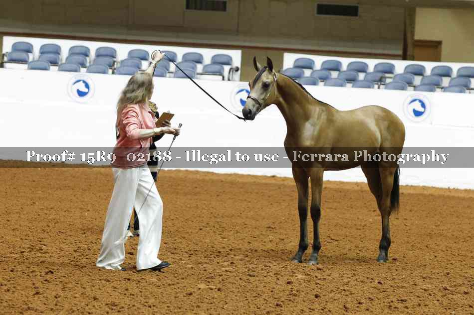 Proof 15R9_02188