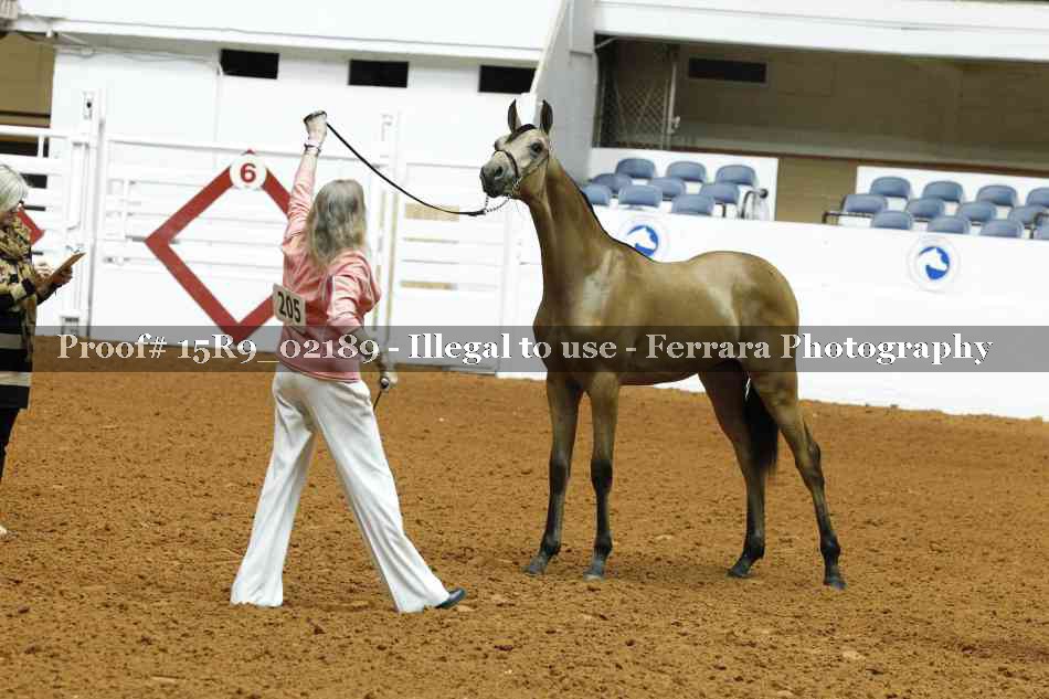 Proof 15R9_02189