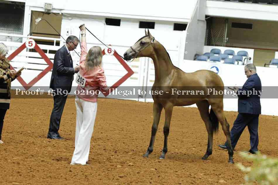 Proof 15R9_02190
