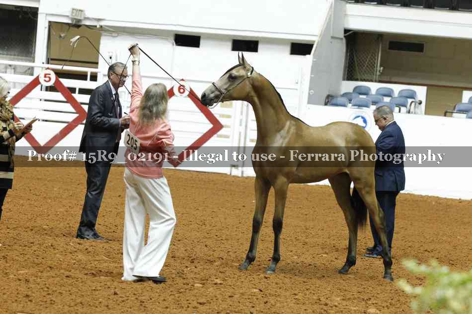 Proof 15R9_02191