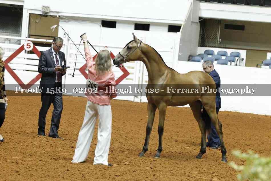 Proof 15R9_02192