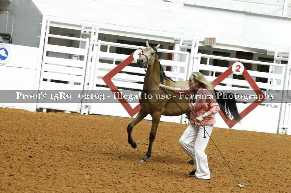 Proof 15R9_02193