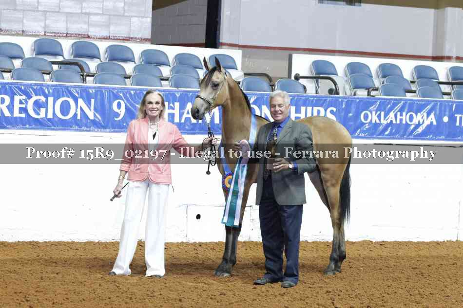 Proof 15R9_02197