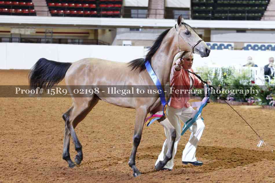 Proof 15R9_02198
