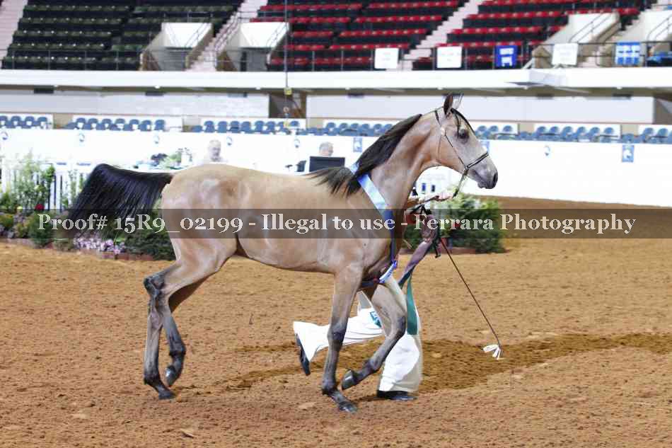 Proof 15R9_02199