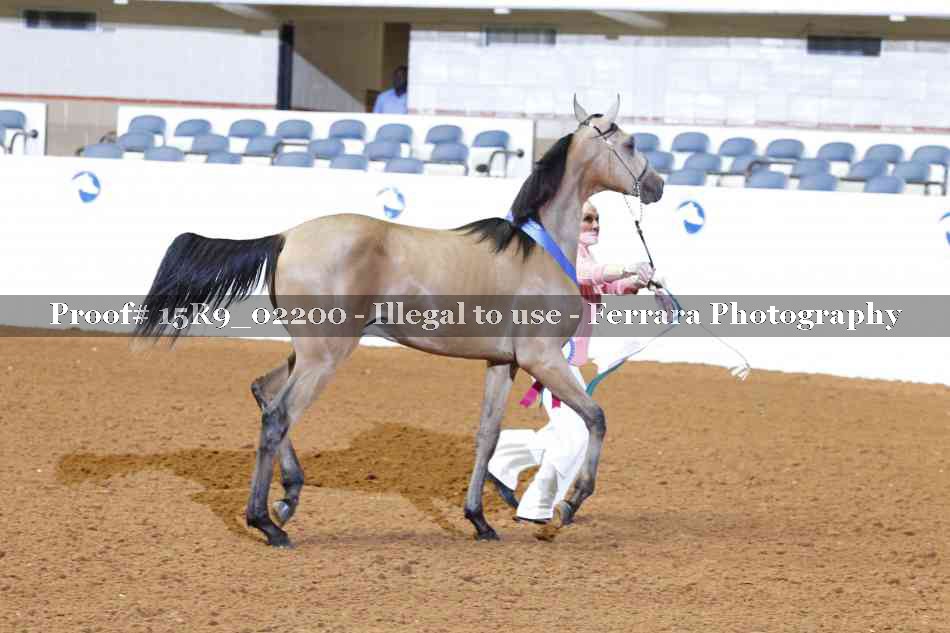 Proof 15R9_02200