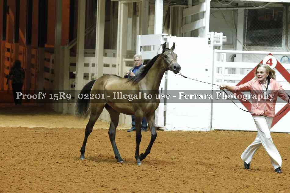 Proof 15R9_02201