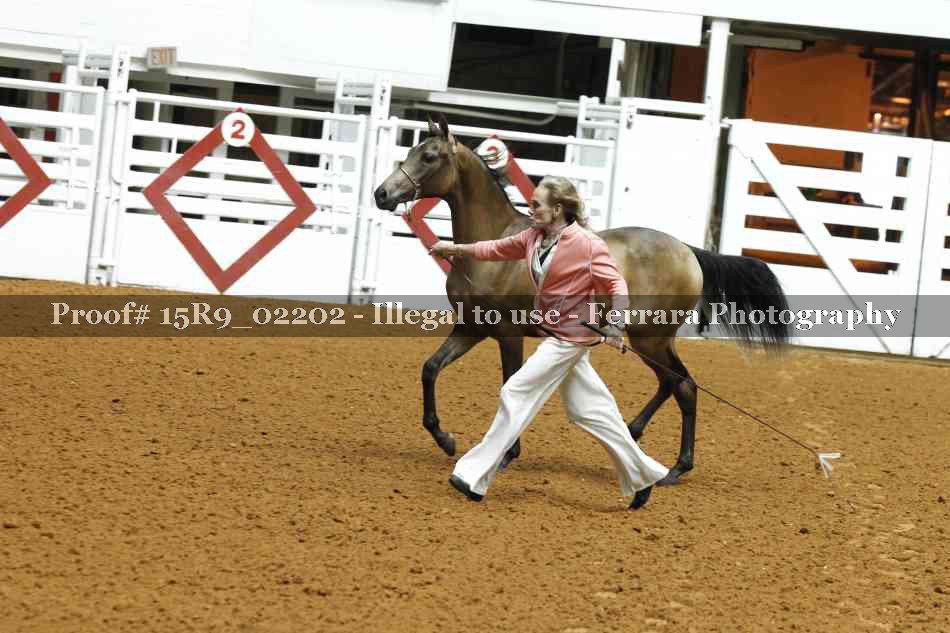 Proof 15R9_02202
