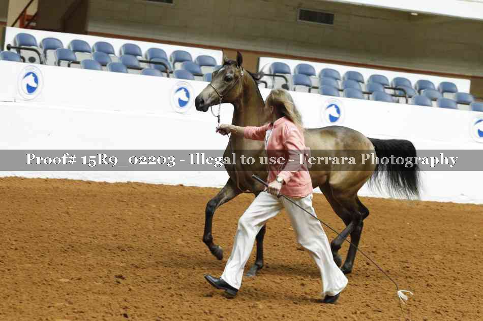 Proof 15R9_02203