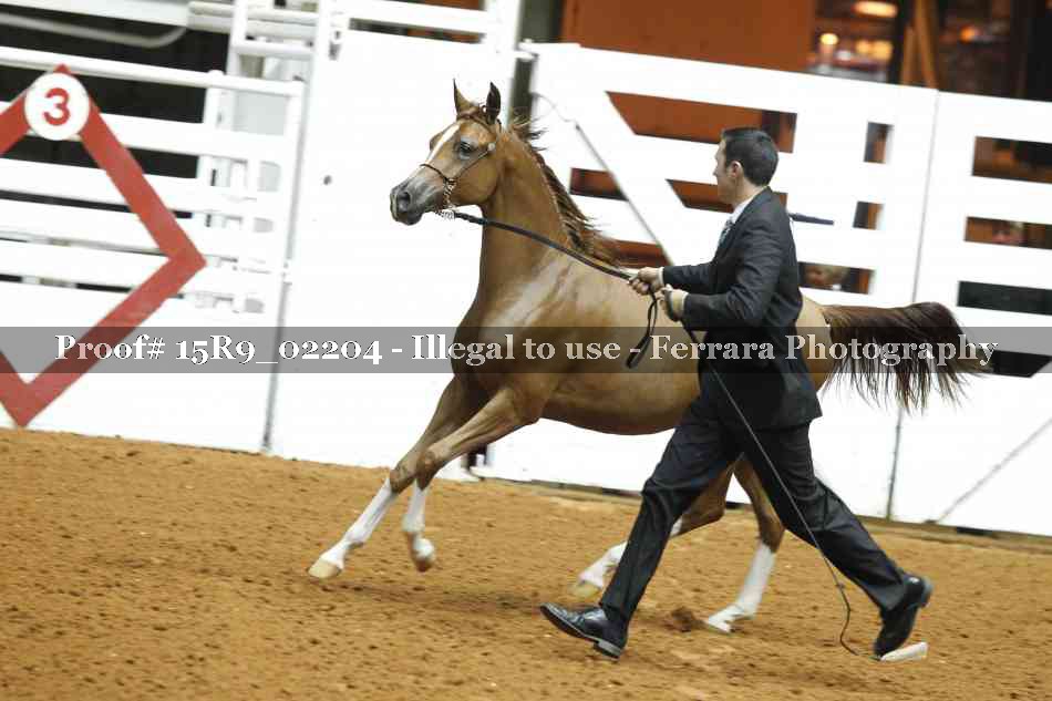 Proof 15R9_02204