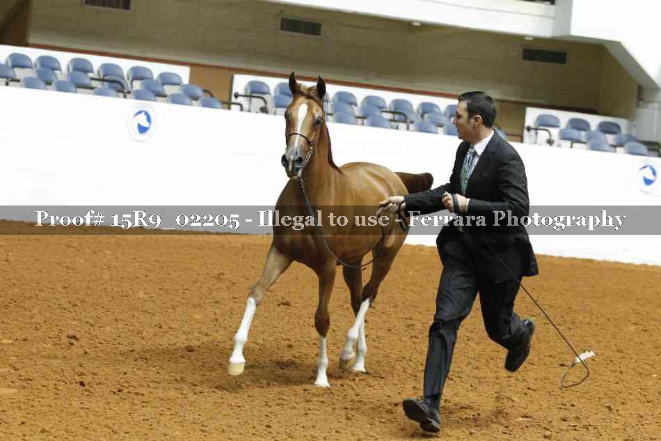 Proof 15R9_02205