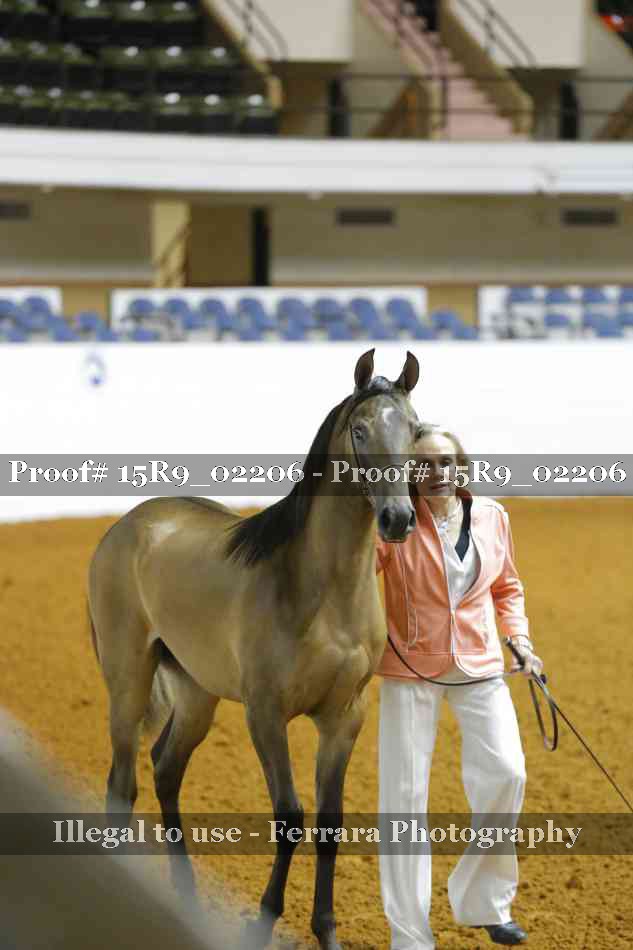 Proof 15R9_02206