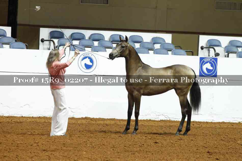 Proof 15R9_02207