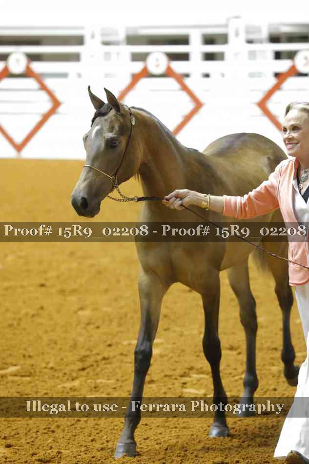 Proof 15R9_02208