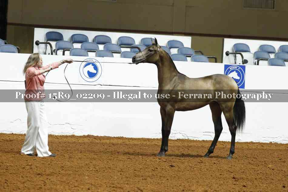 Proof 15R9_02209