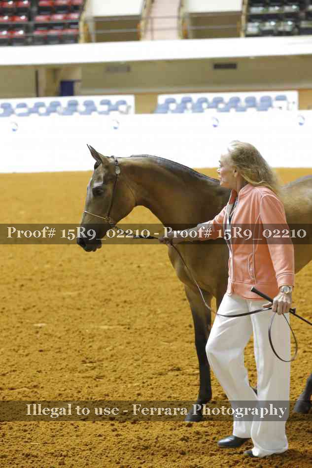 Proof 15R9_02210