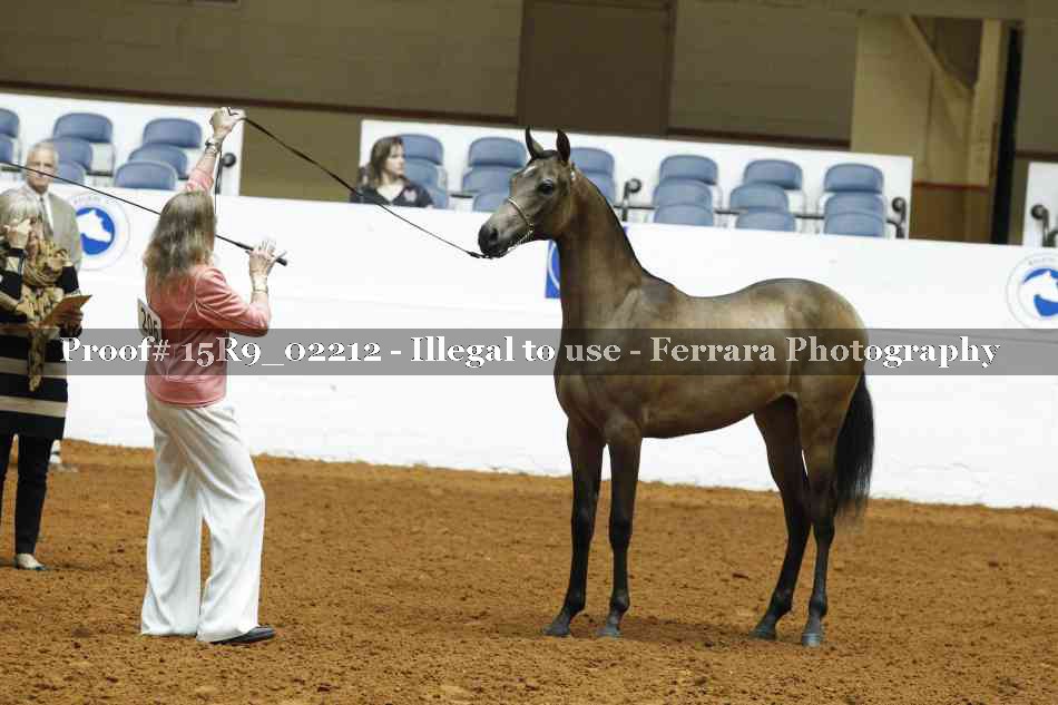 Proof 15R9_02212