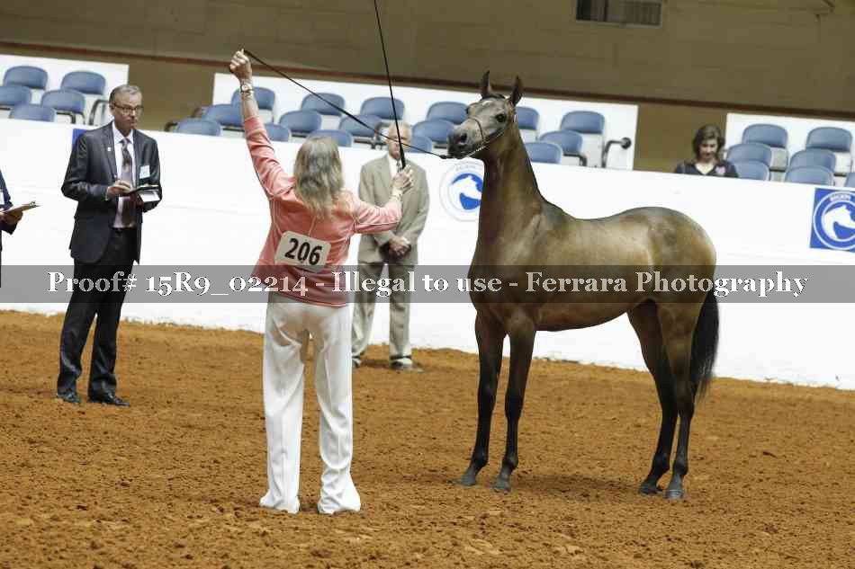 Proof 15R9_02214