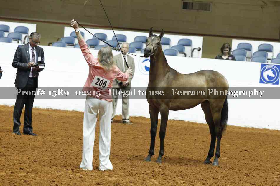Proof 15R9_02215