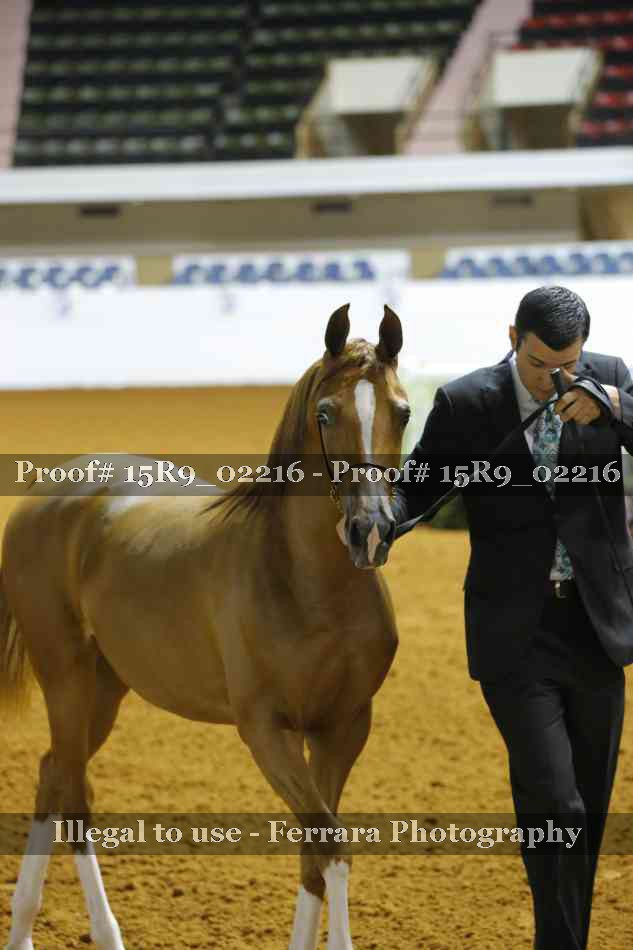 Proof 15R9_02216