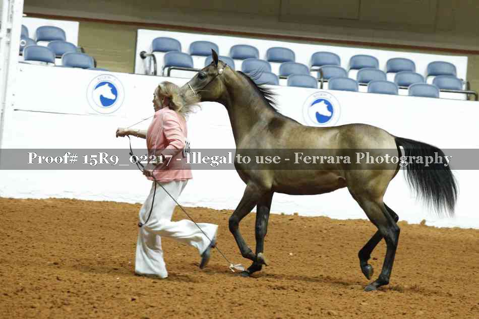 Proof 15R9_02217